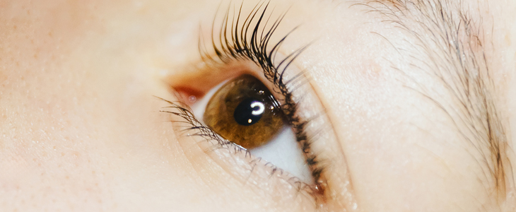 Salon Elitte: podaljševanje trepalnic - Kuponko.si