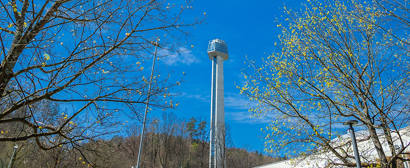 Stolpa Kristal & razvajanje v restavraciji Kaiser - Kuponko.si