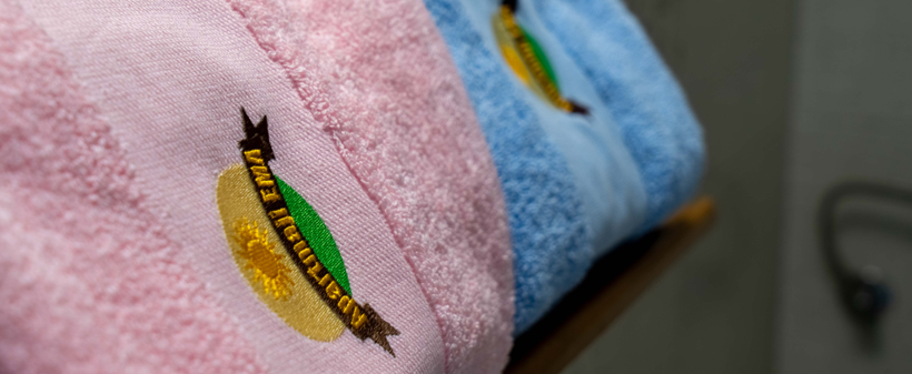 Apartma Ema, sproščen oddih blizu Term Olimia - Kuponko.si