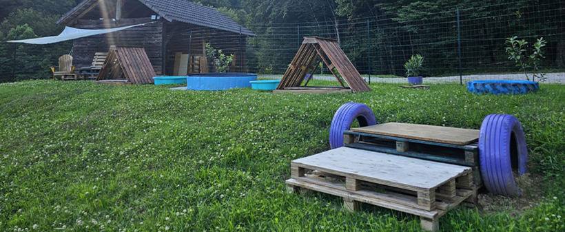 VIP pasji hotel Purpleheart: varstvo za psa - Kuponko.si