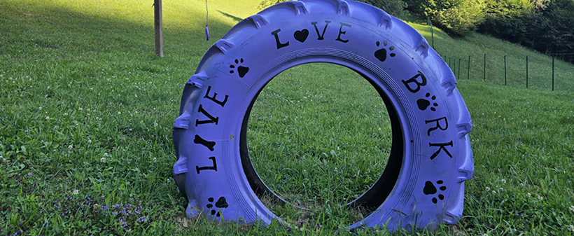 VIP pasji hotel Purpleheart: varstvo za psa - Kuponko.si