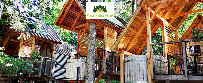 Glamping Ribno, Bled: jesenski oddih - Kuponko.si