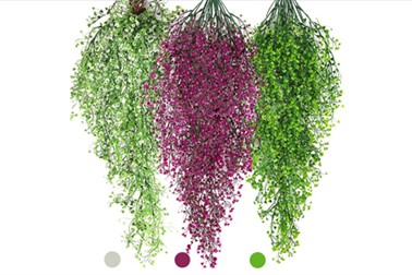 Okrasna viseča rastlina – Ivyplant