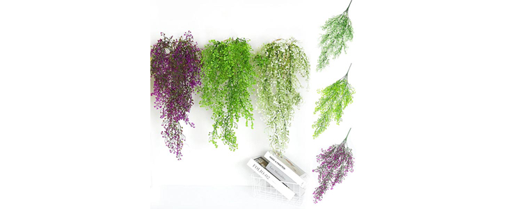 Okrasna viseča rastlina – Ivyplant - Kuponko.si