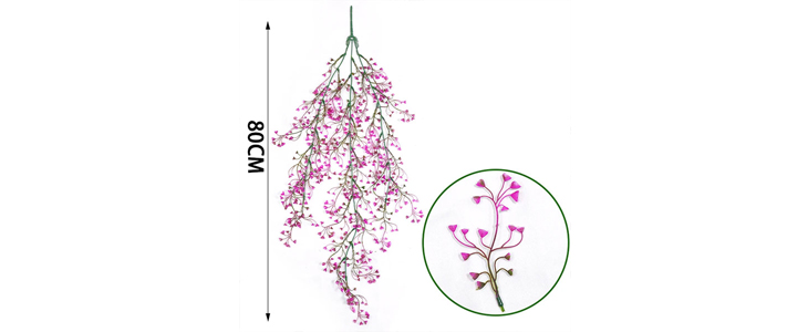 Okrasna viseča rastlina – Ivyplant - Kuponko.si