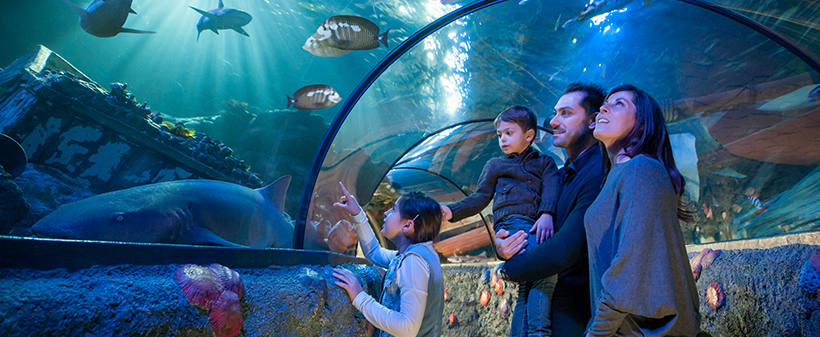Zabaviščni park Gardaland: vstopnica - Kuponko.si