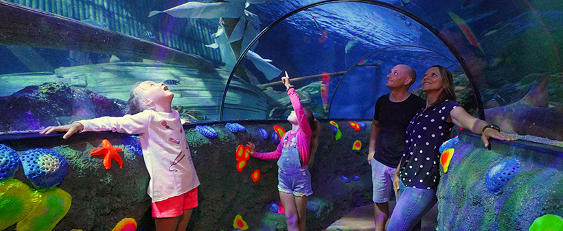 Zabaviščni park Gardaland: vstopnica - Kuponko.si