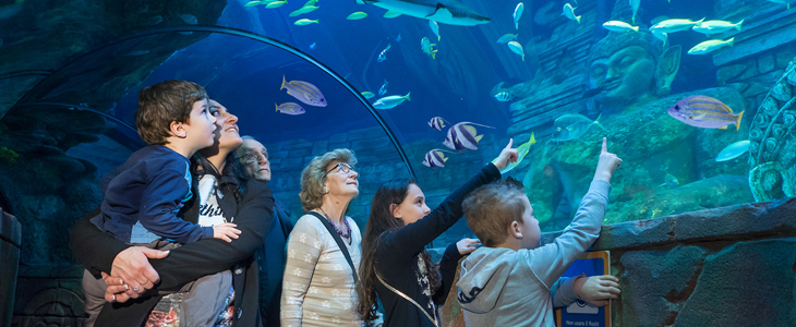 Zabaviščni park Gardaland, Legoland: vstopnica - Kuponko.si