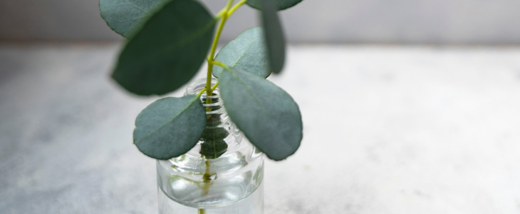 Naravno milo iz kozjega mleka in parafina - Kuponko.si