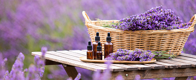 Beauty Effect Studio: masaža, 45 min - Kuponko.si