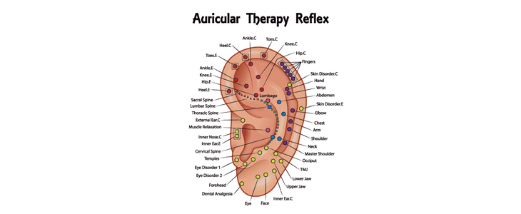 Bioresonanca Grilc, aurikuloterapija - Kuponko.si