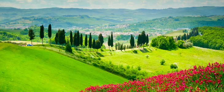Il colombo apartmaji, Certaldo, Toskana: najem - Kuponko.si
