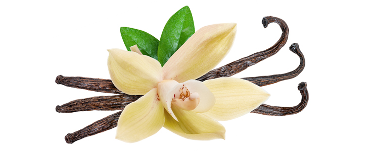 Dekorativna dišeča sveča skulptura - Kuponko.si