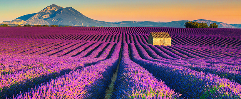 M&M Turist: 4-dnevni izlet v Provanso - Kuponko.si