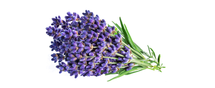 Dekorativna dišeča sveča skulptura - Kuponko.si