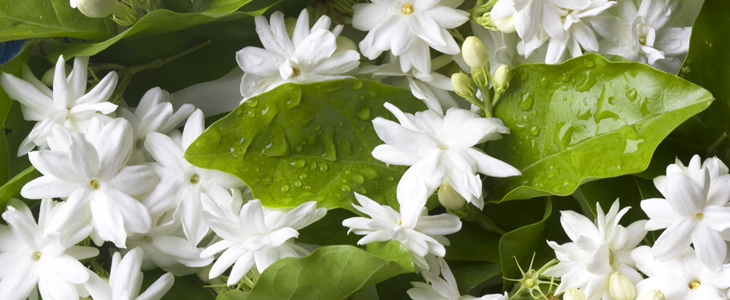 Dekorativna dišeča sveča skulptura - Kuponko.si