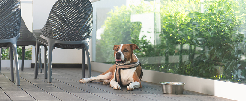 Camping Plitvice; mobilne hiške Premium - Kuponko.si