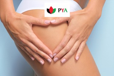 PYA center Maribor: preoblikovanje telesa