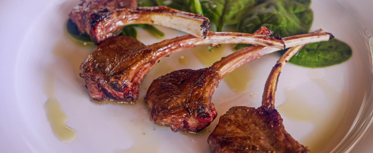 Hotel Villa Letan****, Vodnjan: krasen oddih - Kuponko.si