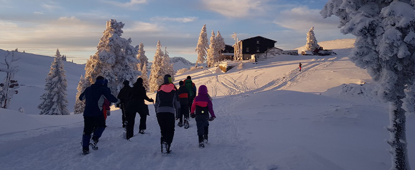 Velika planina resort, najem planinske koče - Kuponko.si