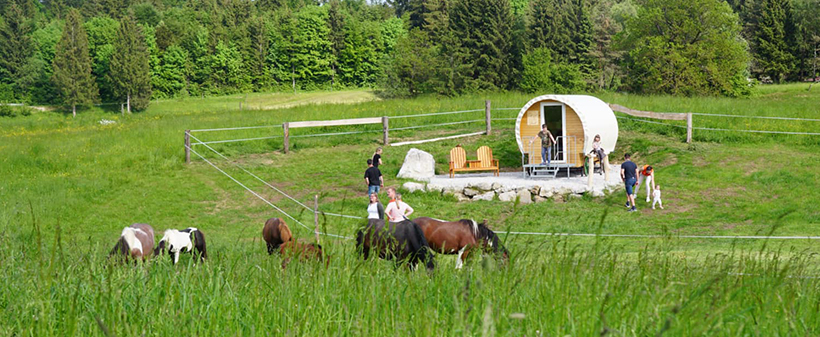 Kmetija Čož, 10 minut jahanja za otroke - Kuponko.si