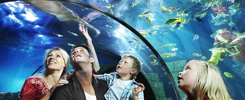 goHolidays: organiziran izlet v pravljični Legoland - Kuponko.si