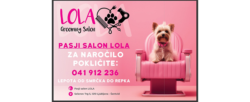 Pasji salon LOLA: nega malega ali srednje velikega psa - Kuponko.si