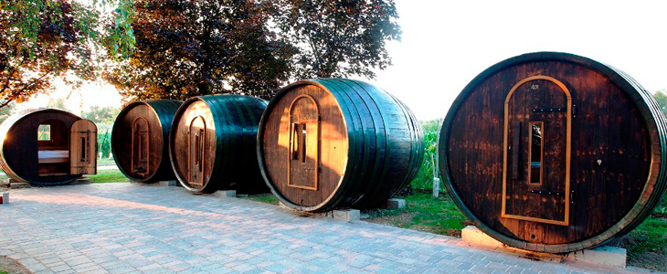 Glamping Vinska vas Terme Ptuj: glamping v vinskem sodu - Kuponko.si