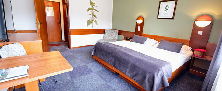 Hotel Tripič, oddih v Bohinju, Bohinjsko jezero kupon - Kuponko.si