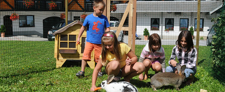 Hotel Tripič, oddih v Bohinju, Bohinjsko jezero kupon - Kuponko.si