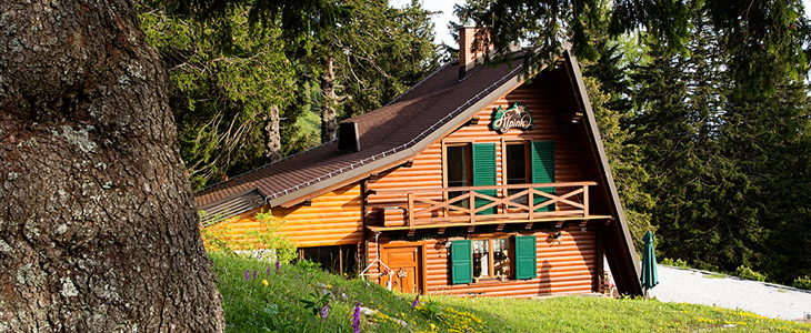 brunarica Alpinka, Krvavec - oddih za do 6 oseb - Kuponko.si