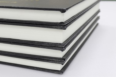 Mag. Zorica Zaklan Domžale: lektoriranje