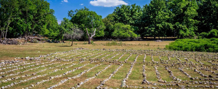 Pansion Tramontana: kosilo, vstopnica za Center Beli - Kuponko.si