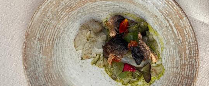  Villa Stari dvor 3* Ugljan: oddih v hotelu z bazenom - Kuponko.si