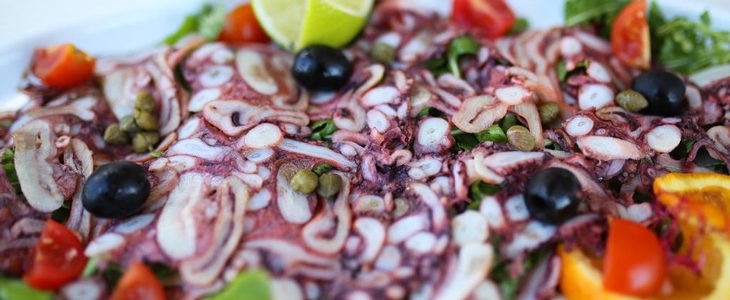 Vile Dalmacija 4*, Ugljan: oddih s polpenzionom - Kuponko.si