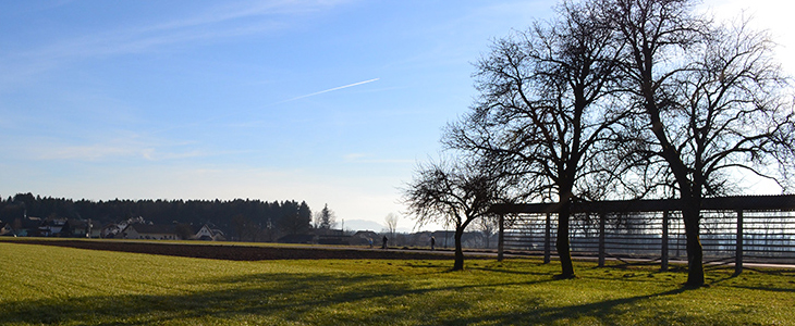 Hotel Silvester, Cerklje na Gorenjskem: oddih za 2 - Kuponko.si