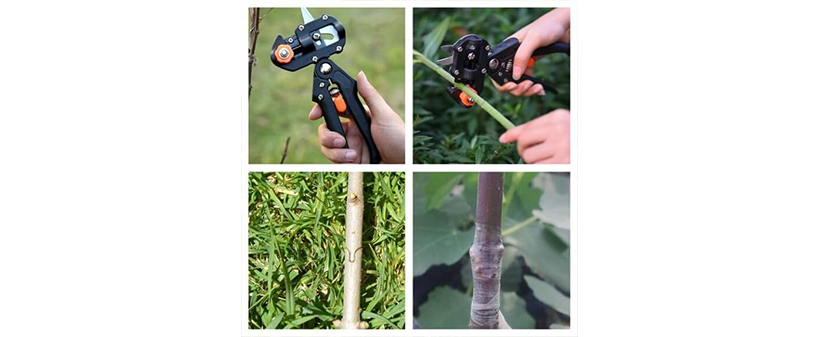 Škarje za urejanje vrta - Gardezors - Kuponko.si