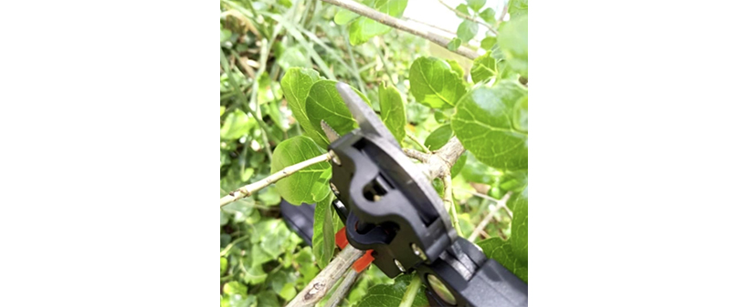 Škarje za urejanje vrta - Gardezors - Kuponko.si