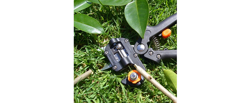 Škarje za urejanje vrta - Gardezors - Kuponko.si