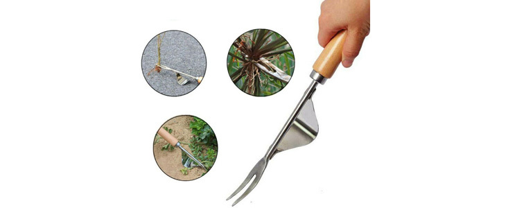 Vsestranski odstranjevalec plevela Weedy - Kuponko.si