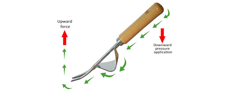 Vsestranski odstranjevalec plevela Weedy - Kuponko.si