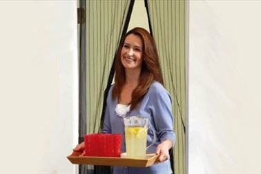 Magnetna zaščitna mreža proti mrčesu Bug