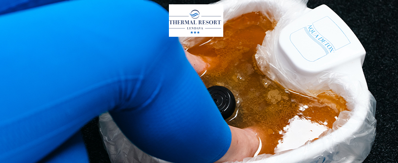 Thermal Resort Lendava: aqua detox  - Kuponko.si