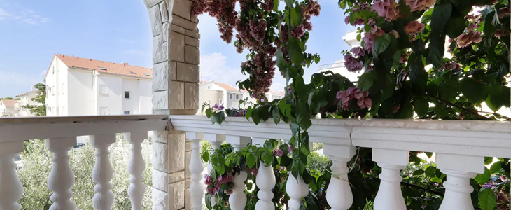 Peris Resort apartmaji, Novalja, Pag - Kuponko.si