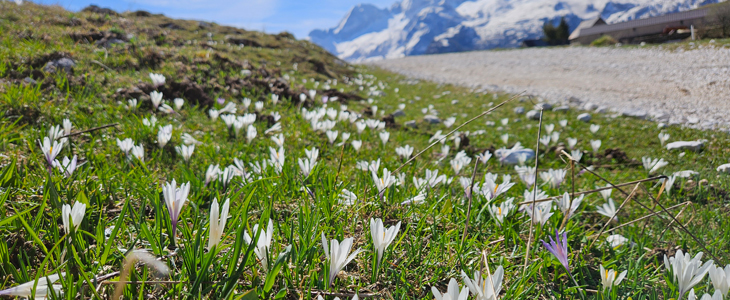 Sella Nevea Resort, Kanin: 2x nočitev - Kuponko.si