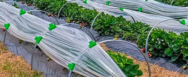 Buckles sponke za pritrjevanje folije, koprene in mreže - Kuponko.si