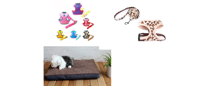 Paket 25 izdelkov za dom, prosti čas, nego in zabavo - Kuponko.si