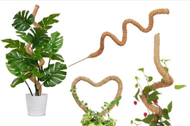 UniquePlant oporni steber za rastline