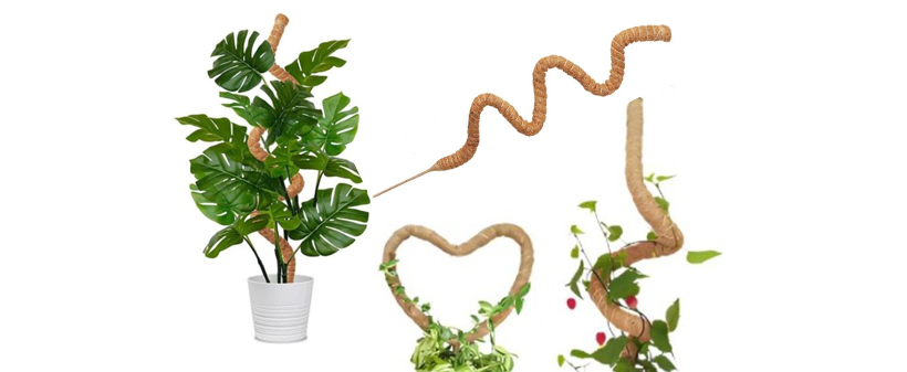 UniquePlant oporni steber za rastline - Kuponko.si