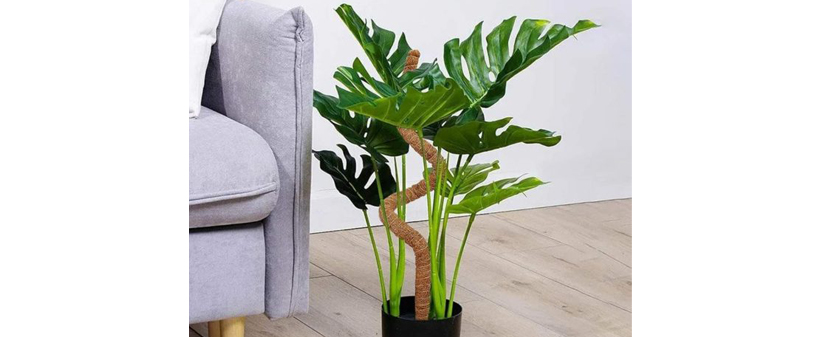 UniquePlant oporni steber za rastline - Kuponko.si